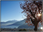 foto Lago di Como